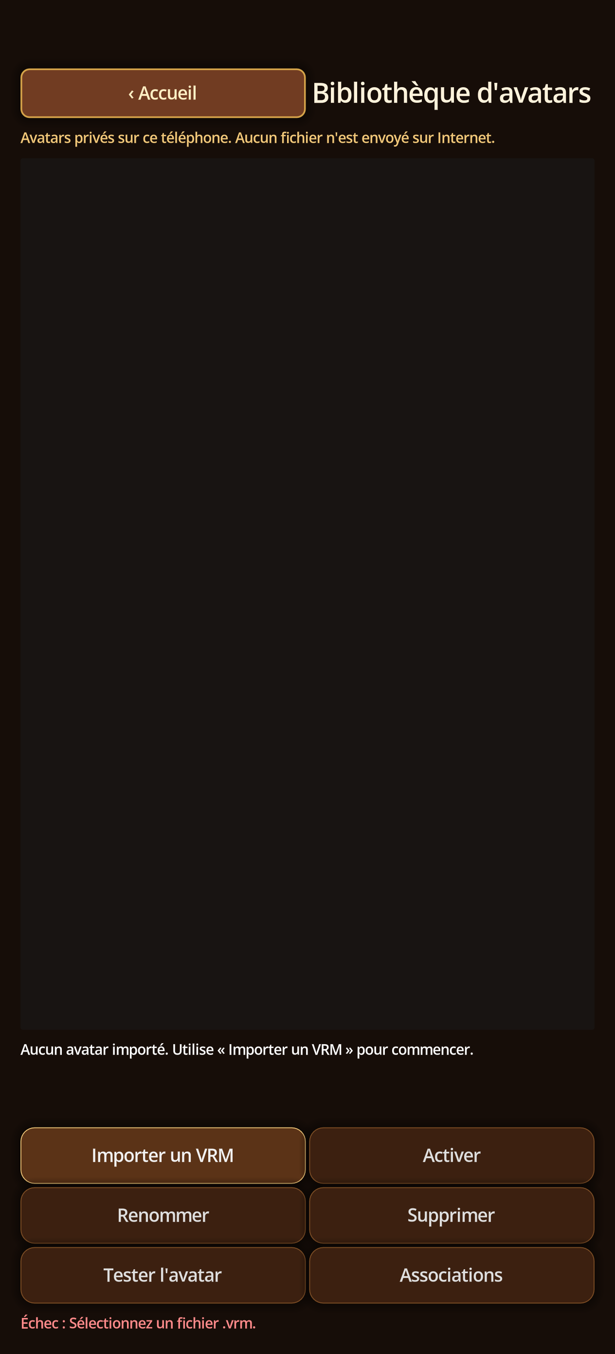 Direct VRM import result with documented test avatar.